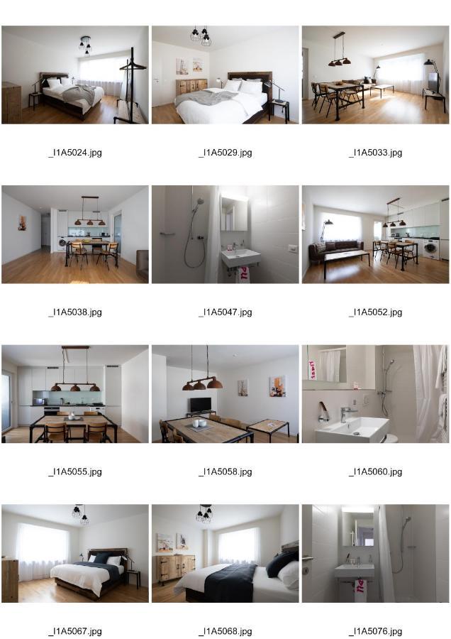 Nest - Riehenring 147 Apartment Basel Bagian luar foto